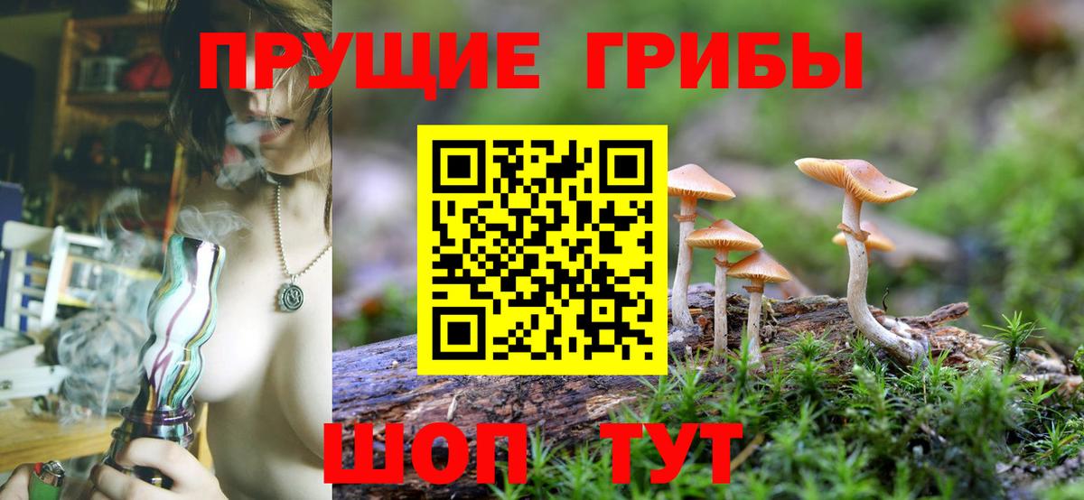 Псилоцибиновые грибы MAGIC MUSHROOMS Киров